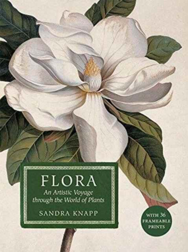 Flora: An Artistic Voyage Through the World of Plants av Sandra Knapp