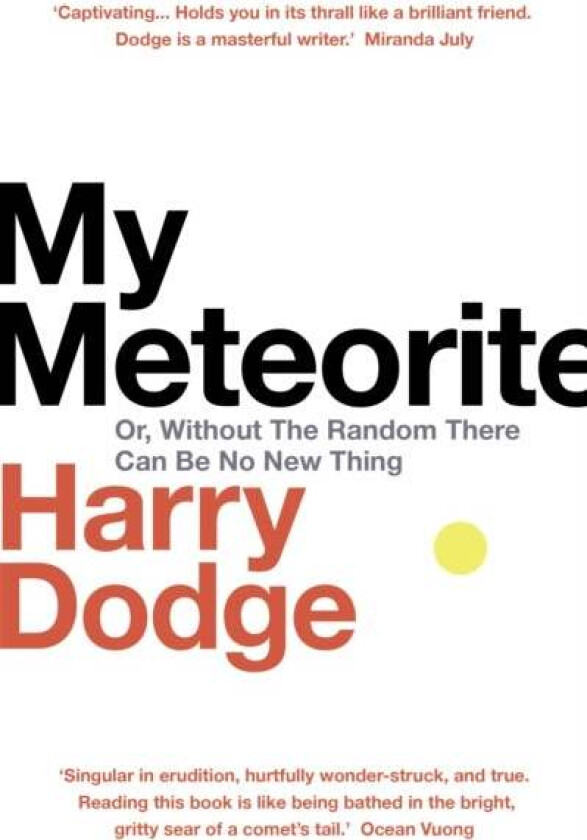 My Meteorite av Harry Dodge