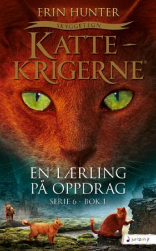 En lærling på oppdrag av Erin Hunter