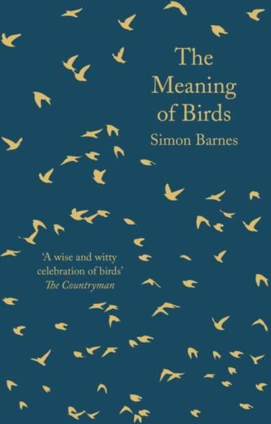 The Meaning of Birds av Simon Barnes