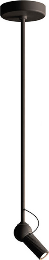 KDLN - Bird Veg-/Taklampe w/2 Rod H3,5+H20,5 Black KDLN