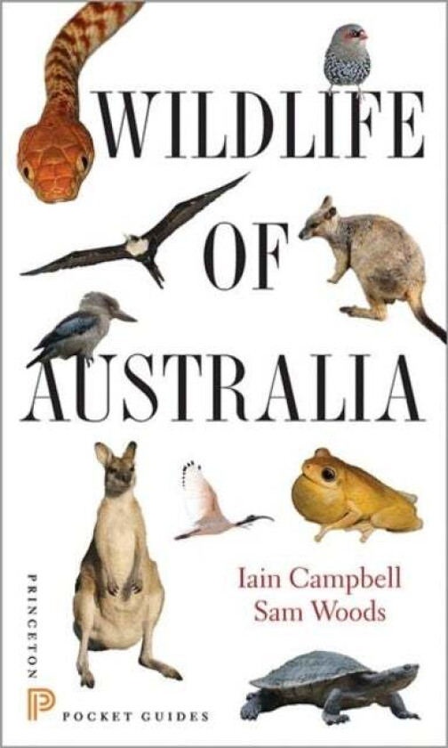 Wildlife Of Australia Av Iain Campbell, Sam Woods