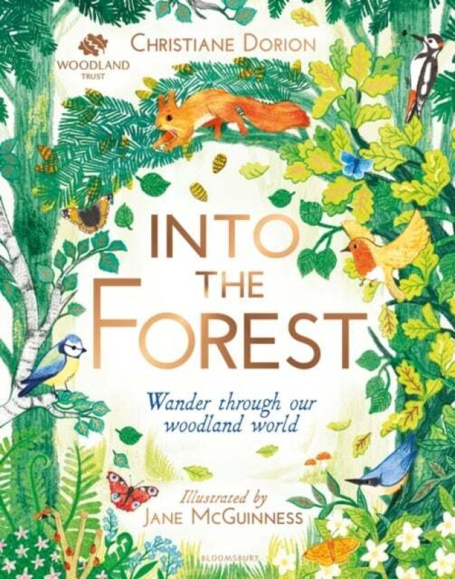 The Woodland Trust: Into The Forest av Christiane Dorion