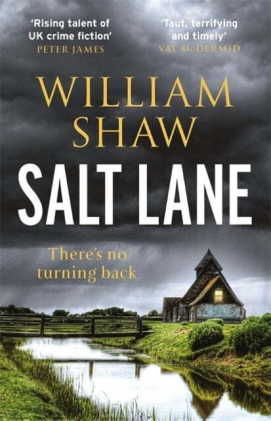 Salt Lane av William Shaw