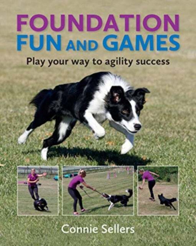 Foundation Fun And Games av Connie Sellers