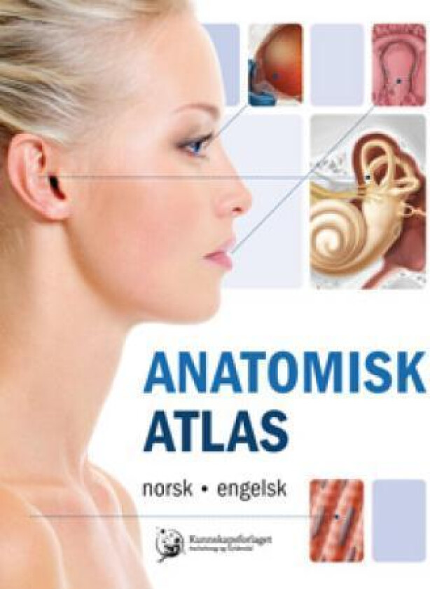 Anatomisk atlas