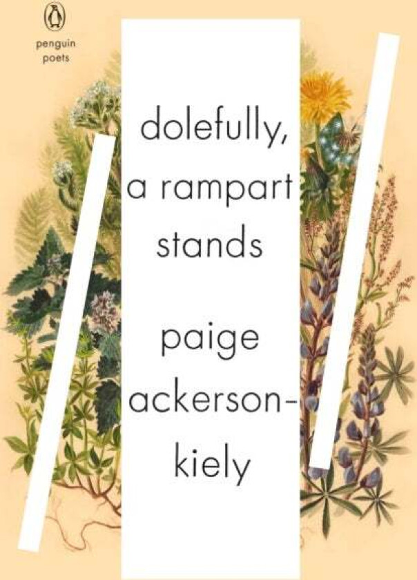 Dolefully, A Rampart Stands av Paige Ackerson-Kiely