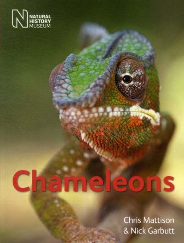 Chameleons av Chris Mattison, Nick Garbutt