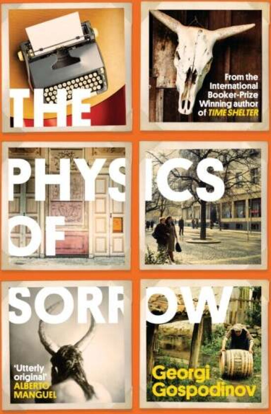 The Physics of Sorrow av Georgi Gospodinov
