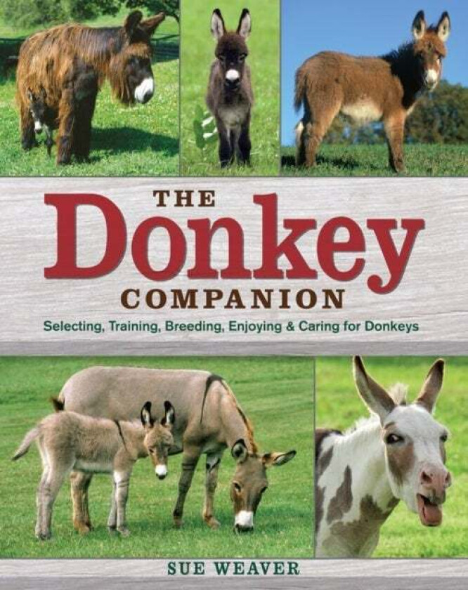 Donkey Companion av Sue Weaver