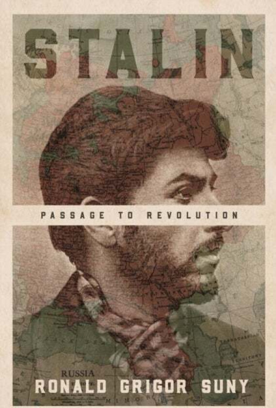 Stalin av Ronald Grigor Suny