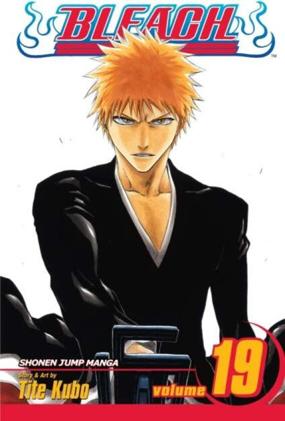 Bleach, Vol. 19 av Tite Kubo