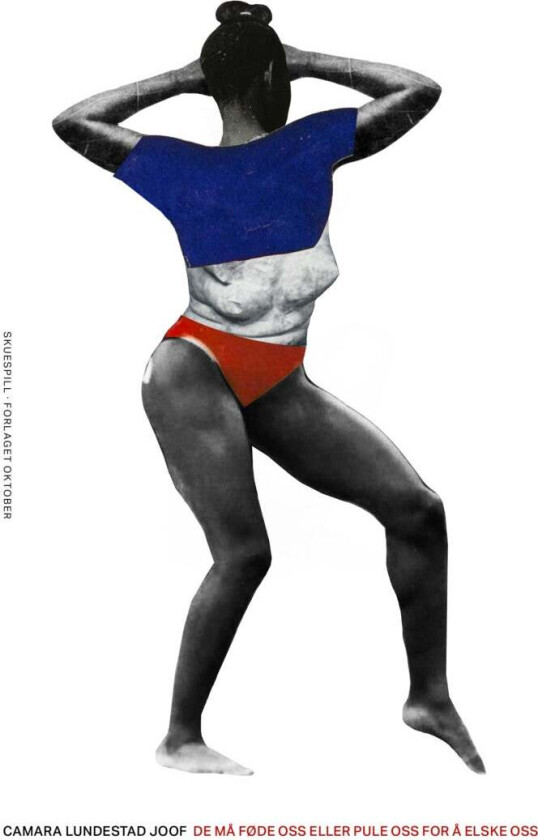 De må føde oss eller pule oss for å elske oss av Camara Lundestad Joof