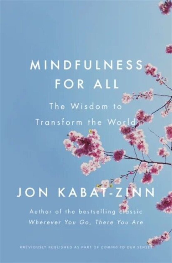 Mindfulness for All av Jon Kabat-Zinn