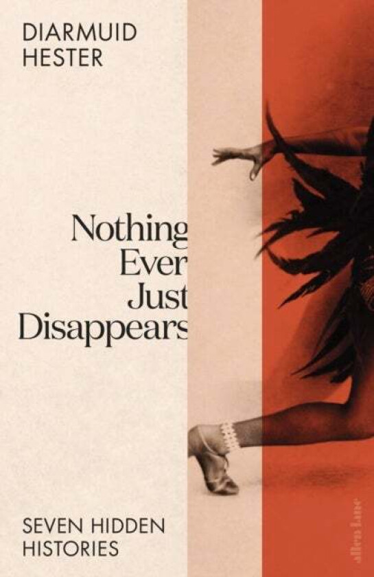 Nothing Ever Just Disappears av Diarmuid Hester