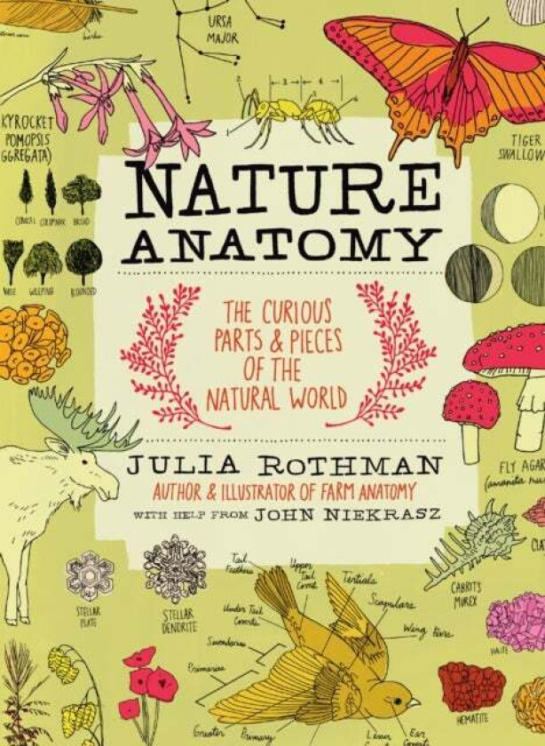 Nature Anatomy av Julia Rothman