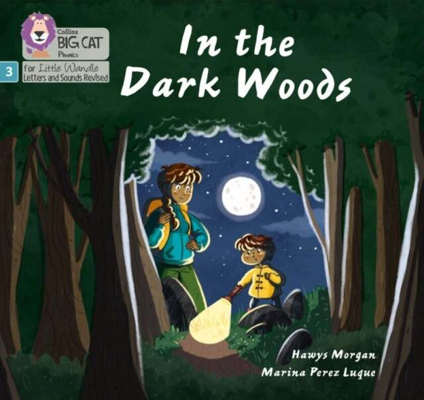 In the Dark Woods av Hawys Morgan