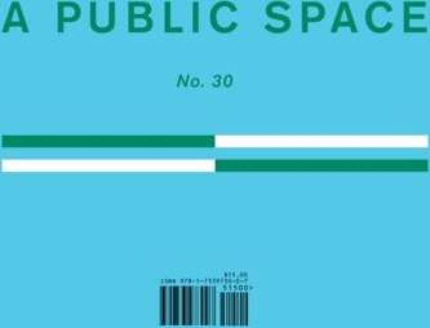 A Public Space No. 30