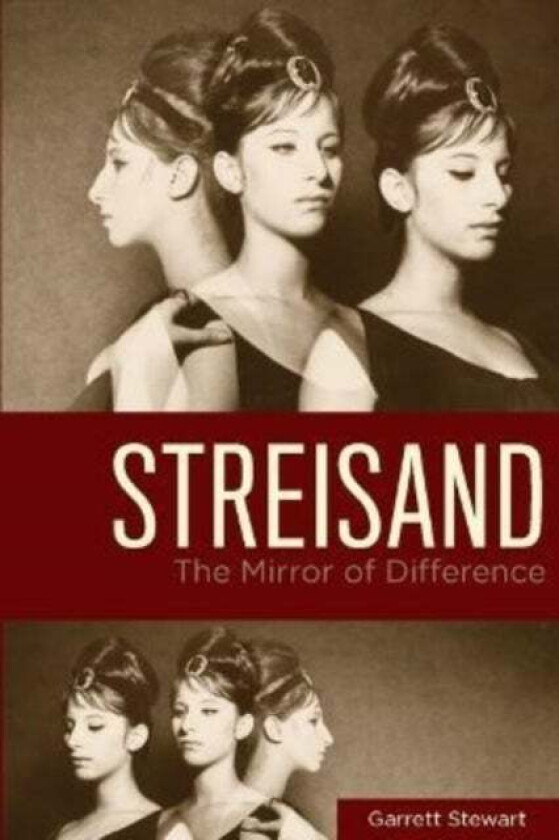 Streisand av Garrett Stewart