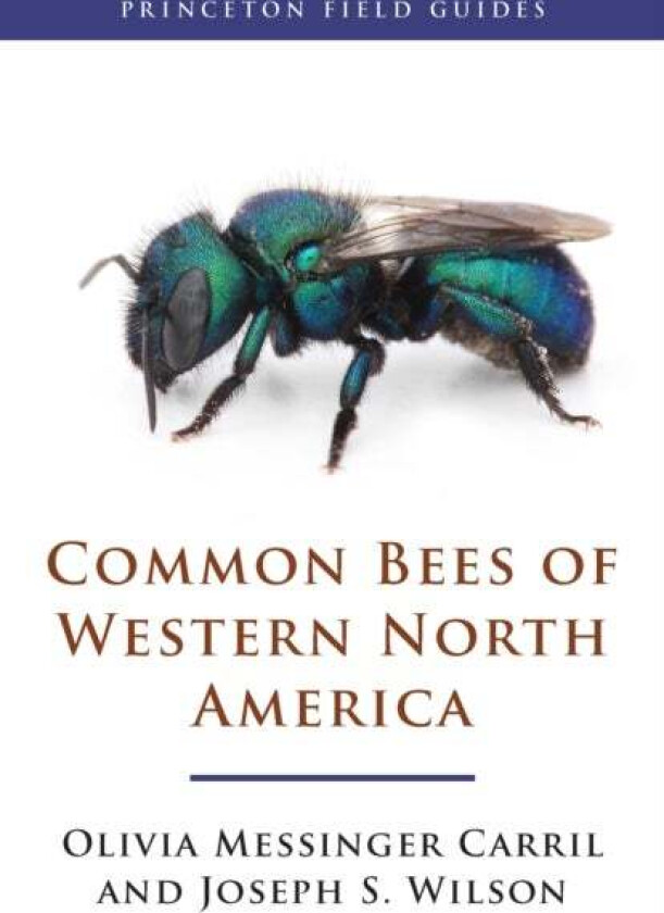 Common Bees of Western North America av Olivia Messinger Carril, Joseph S. Wilson