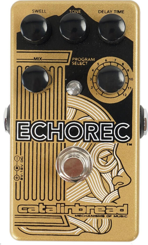 Echorec Delaypedal