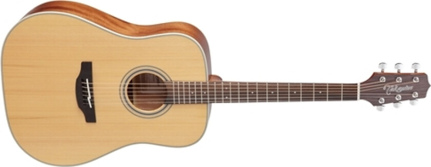 GD20-NS Dreadnought Acoustic Natural