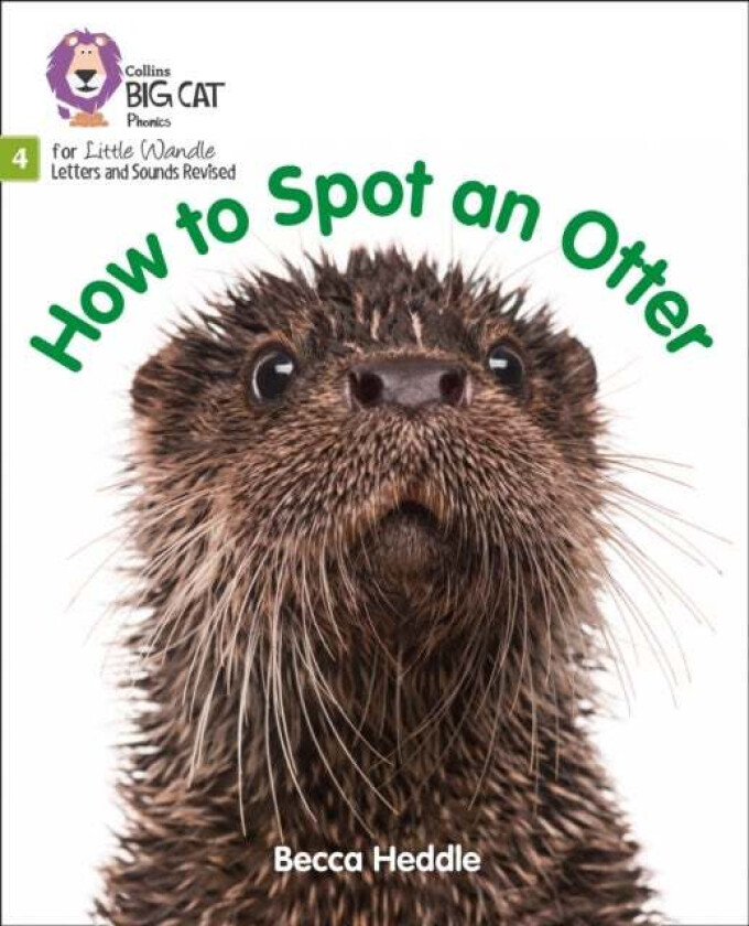 How to Spot an Otter av Becca Heddle