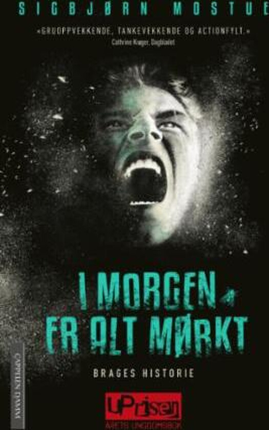Brages historie av Sigbjørn Mostue