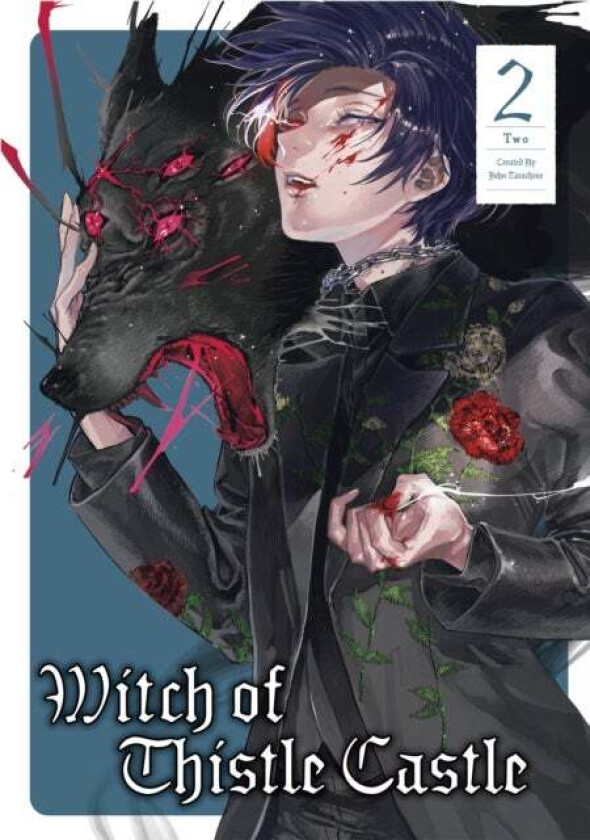 Witch of Thistle Castle Vol. 2 av John Tarachine
