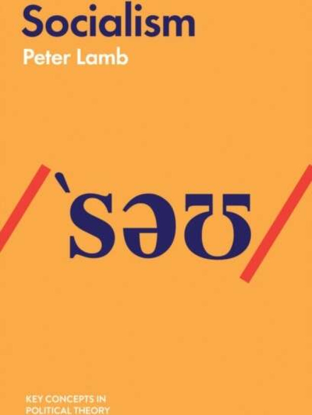 Socialism av Peter Lamb