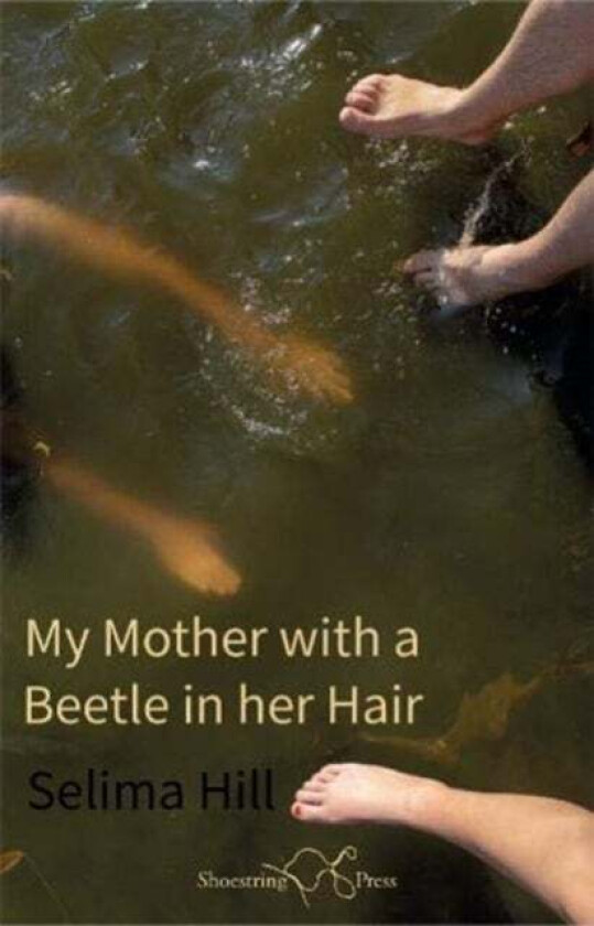 My Mother with a Beetle in her Hair av Selima Hill