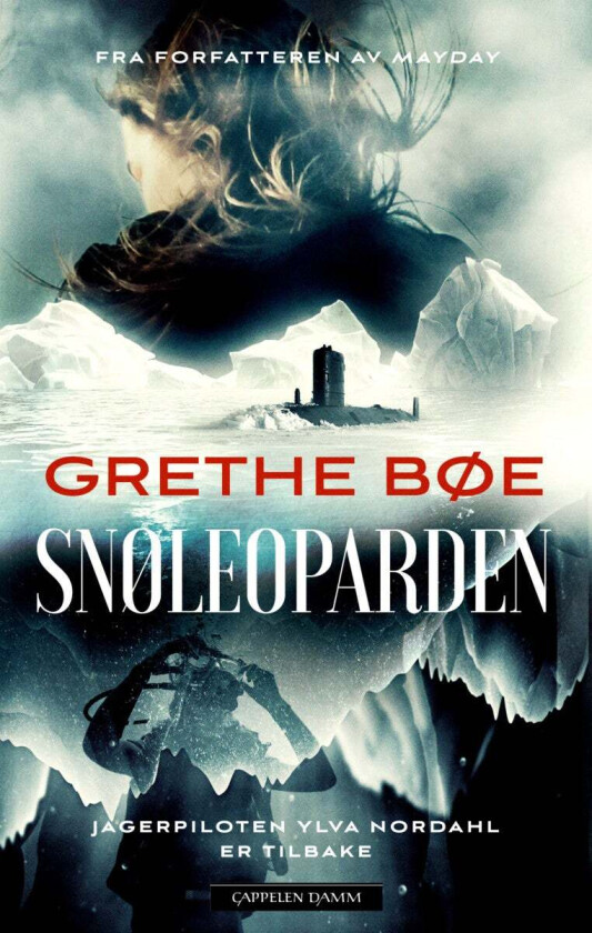 Snøleoparden av Grethe Bøe