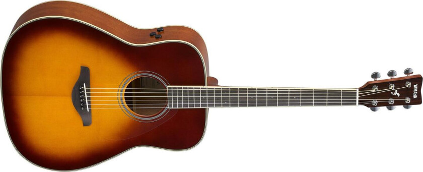 Fg-Ta Brown Sunburst