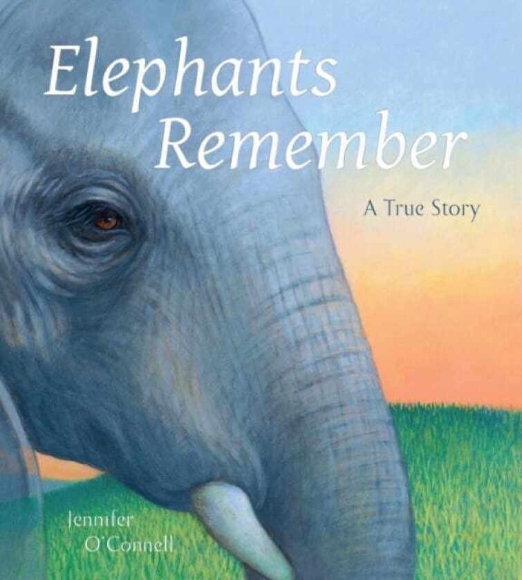 Elephants Remember av Jennifer O'Connell