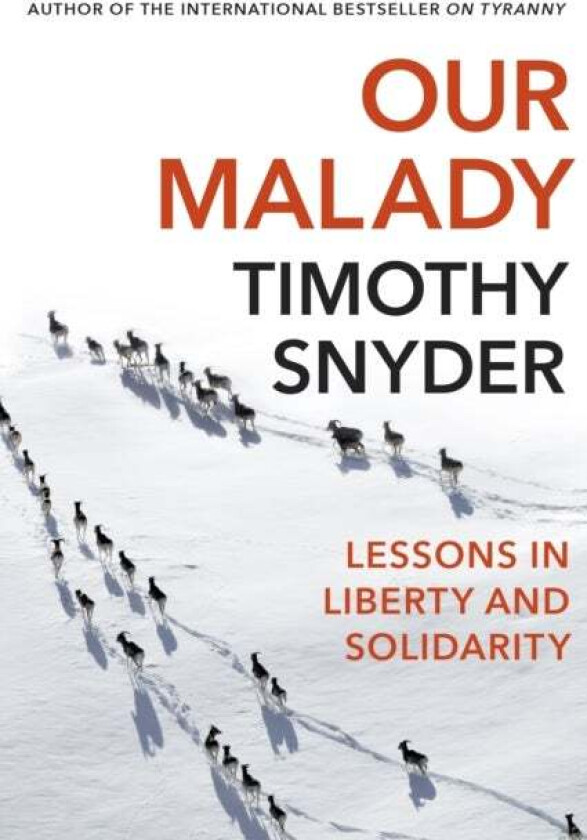 Our malady av Timothy Snyder