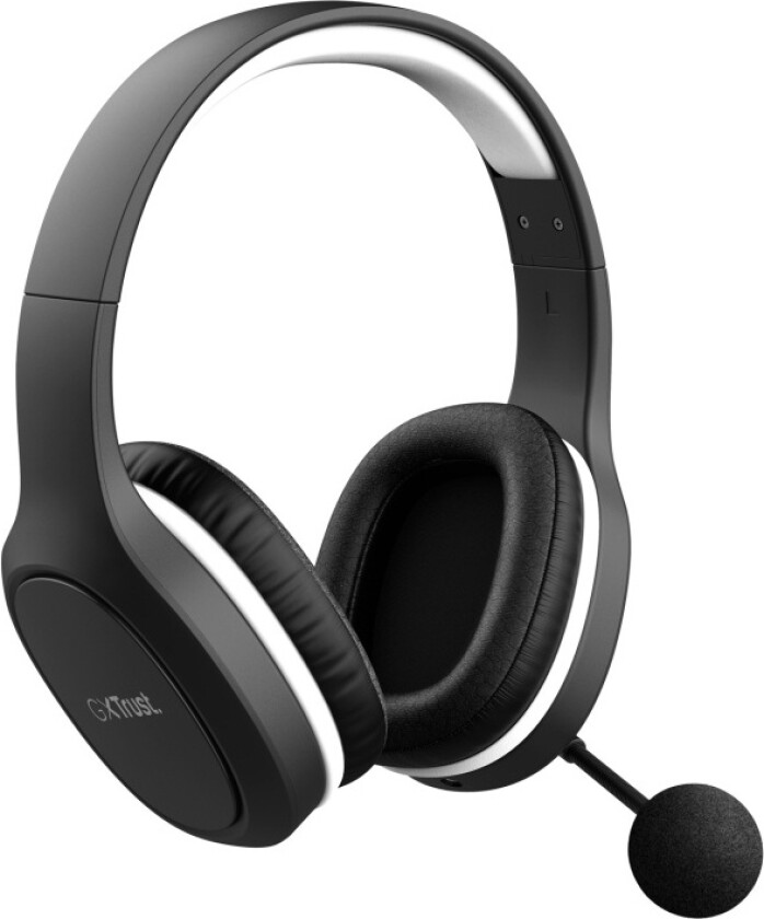 GXT 391 Thian