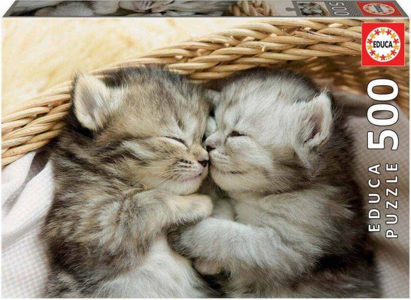 - Sweet cats - 500 cats 3D Puslespill