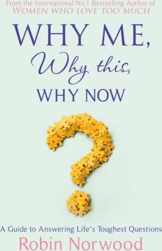 Why Me, Why This, Why Now? av Robin Norwood