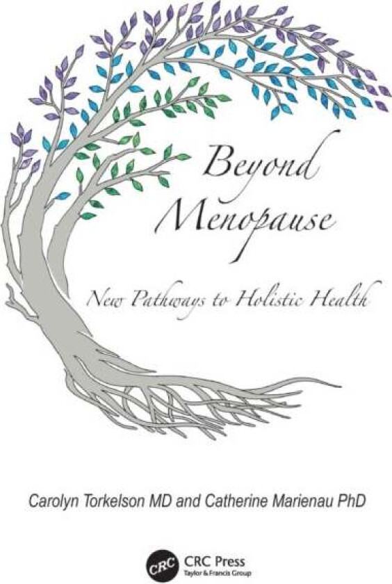 Beyond Menopause av Carolyn Torkelson, Catherine Marienau