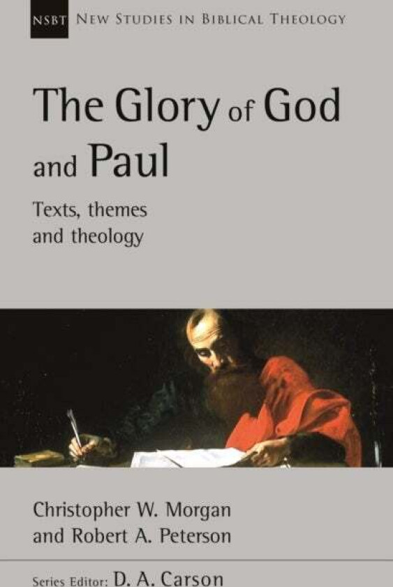 The Glory of God and Paul av Robert A (Author) Peterson