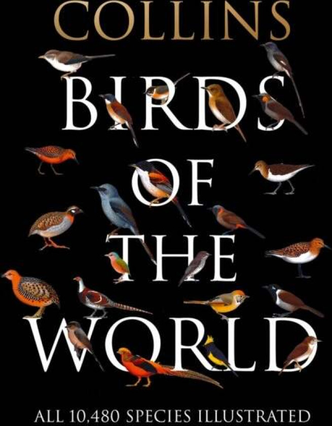 Collins Birds of the World av Norman Arlott, Ber van Perlo, Jorge R. Rodriguez Mata, Gustavo Carrizo, Aldo A. Chiappe, Luis Huber