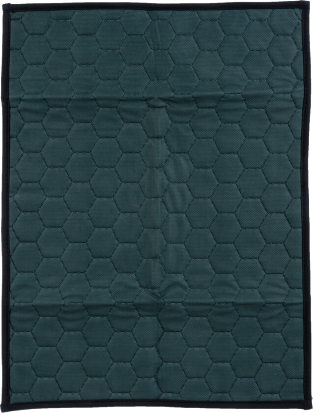 vaskbart underlag til valper - L 60 x B 85 cm