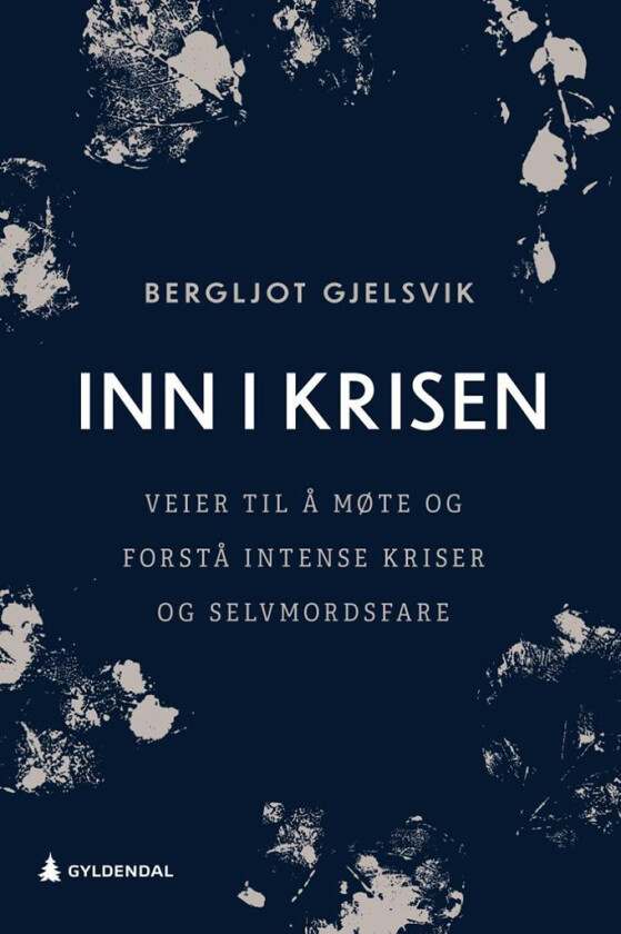 Inn i krisen av Bergljot Gjelsvik