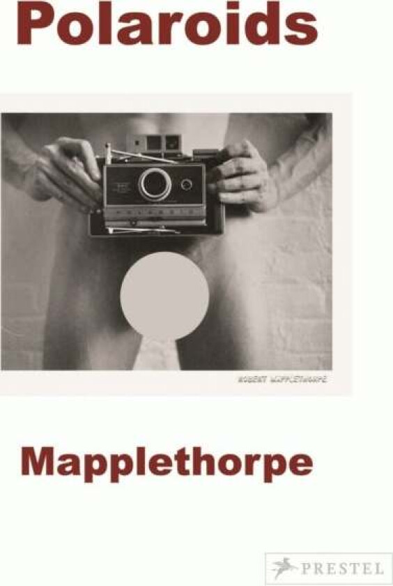 Robert Mapplethorpe av Sylvia Wolf