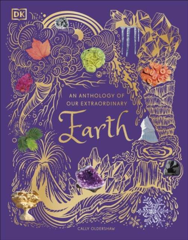 An Anthology of Our Extraordinary Earth av Cally Oldershaw