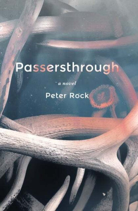 Passersthrough av Peter MD FCCP MBA Rock