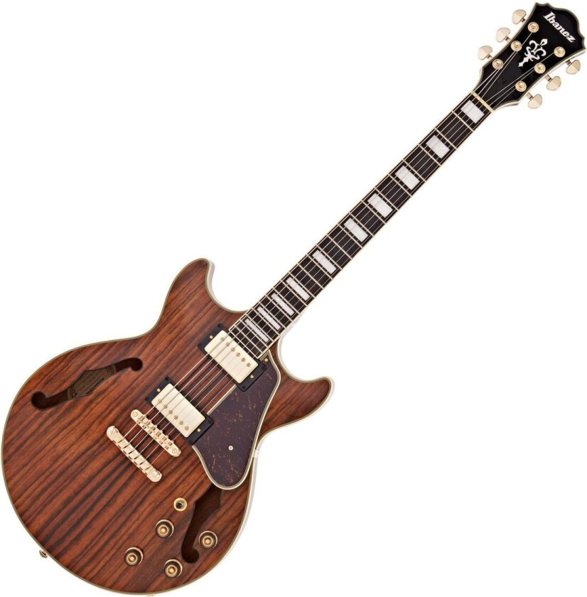 Am93me-Nt Elgitar, Artcore Expressionist