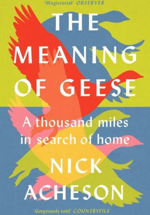 The Meaning of Geese av Nick Acheson