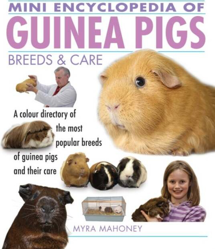 Mini Encyclopedia of Guinea Pigs Breeds and Care av Myra Mahoney