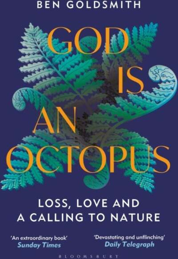 God Is An Octopus Av Ben Goldsmith